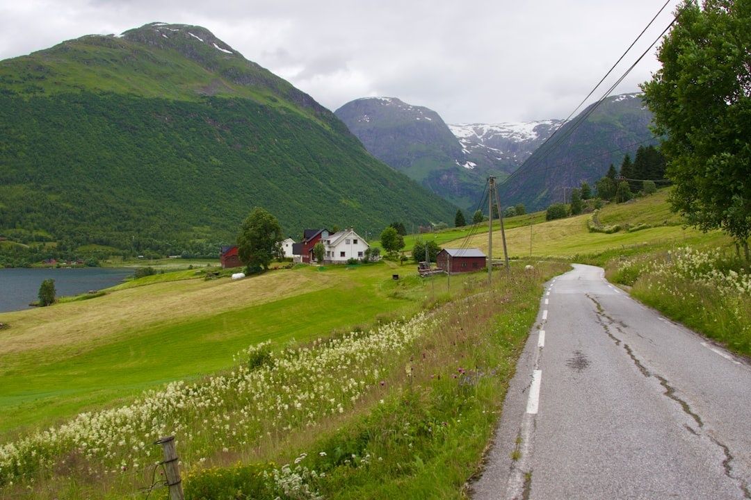 Smal bygdevei gjennom jordbrukslandskap med fjell og snø i bakgrunnen